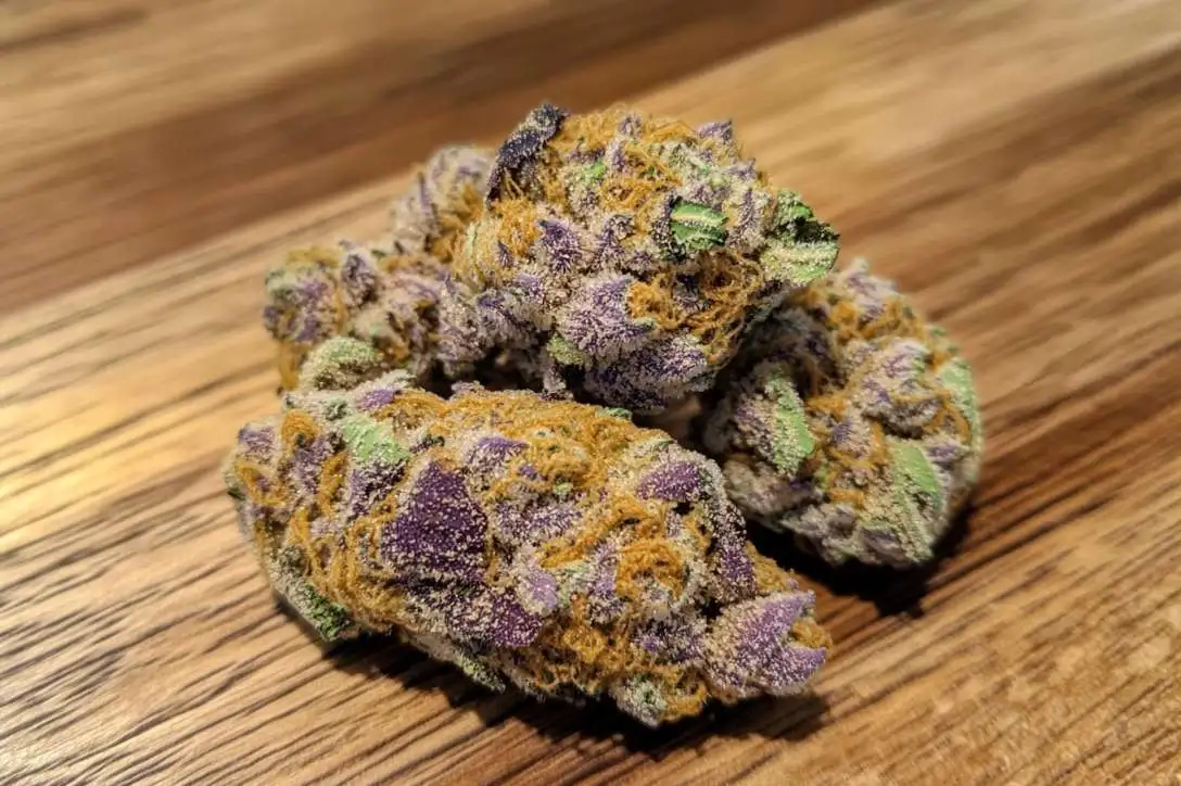 Vibrant cannabis buds from cookies cannabis strain with frosty trichomes and rich green and purple hues